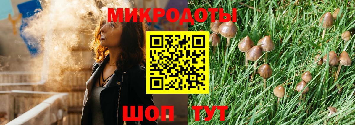 Галлюциногенные грибы ЛСД Петрозаводск