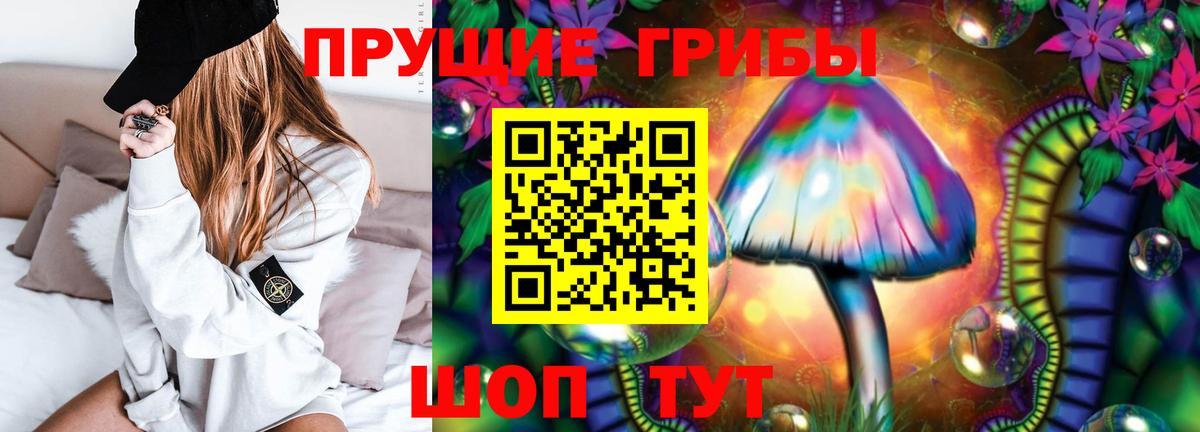 Псилоцибиновые грибы MAGIC MUSHROOMS  Псилоцибиновые грибы Psilocybine cubensis  Петрозаводск  Вход с VPN 