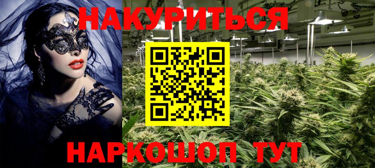 Бошки Шишки SATIVA & INDICA  Шишки марихуана марихуана  Бошки Шишки семена  Марихуана конопля  Вход с VPN  Петрозаводск 