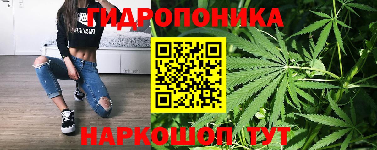 Шишки марихуана сатива Петрозаводск